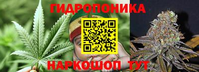 PSILOCYBIN Партизанск