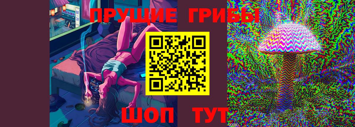 Псилоцибиновые грибы прущие грибы  Вход с VPN  Ставрополь  Псилоцибиновые грибы мицелий 