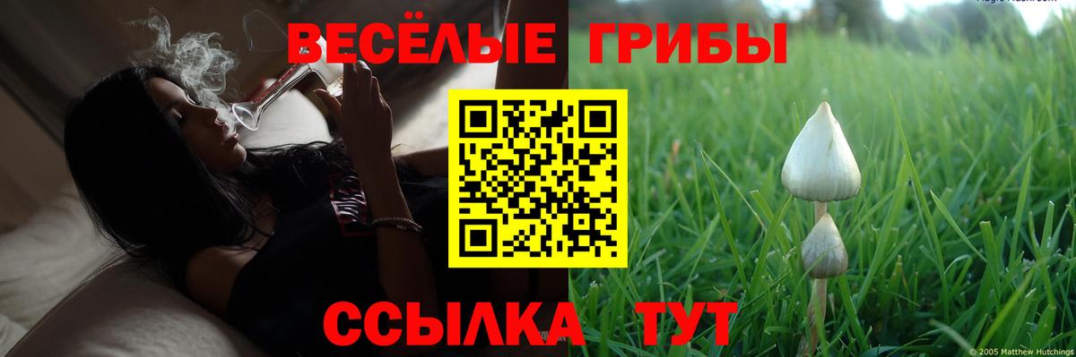 Галлюциногенные грибы MAGIC MUSHROOMS Ставрополь